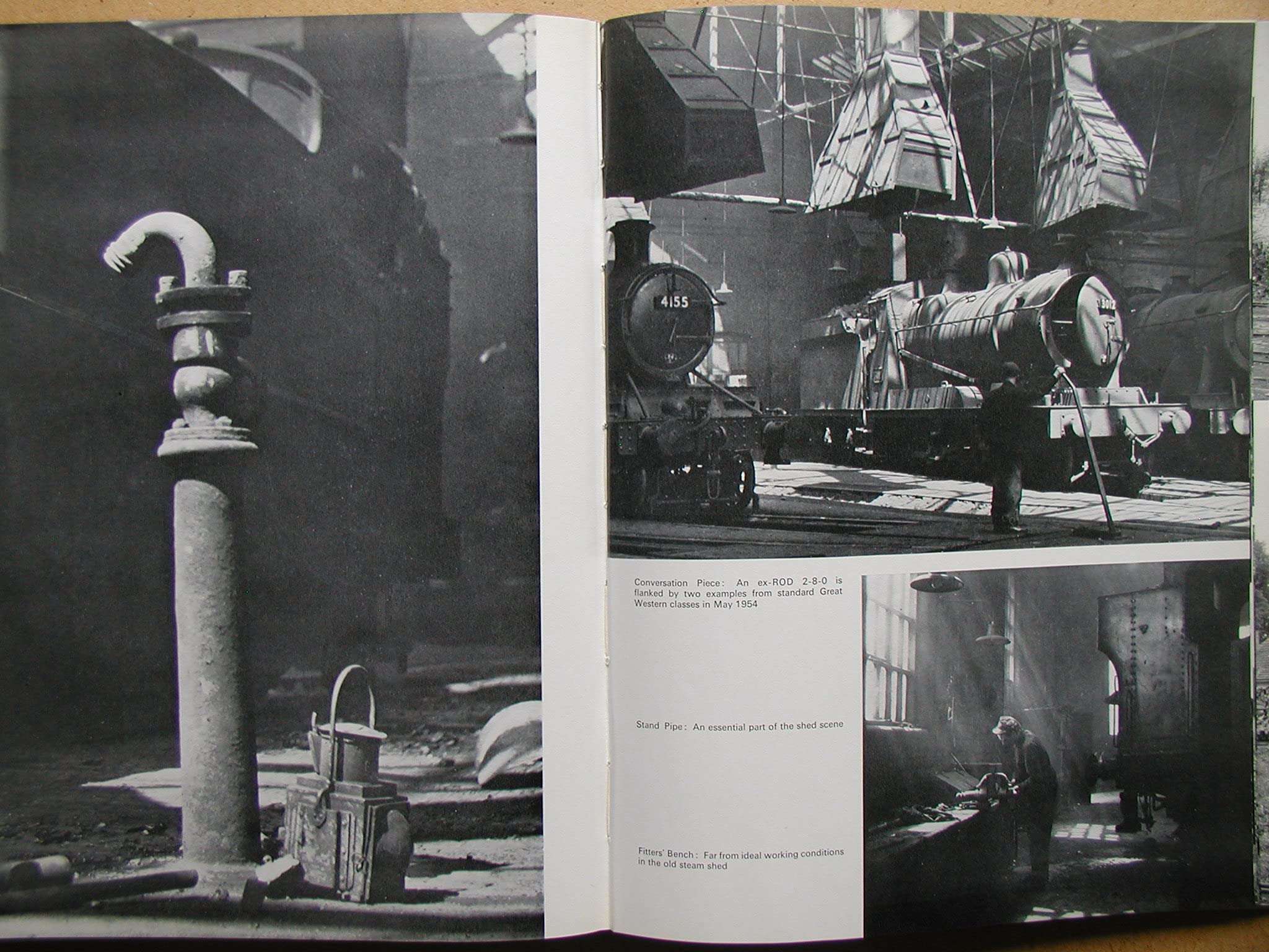 Steam on the shed (Hardcover)