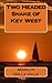 [Two Headed Snake of Key West (Liz Adams Mysteries)] [Author: Dalla Valle, Marilyn] [January, 2014]