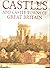 Castles and castle towns of Great Britain by David Mountfield