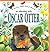 An Adventure With Oscar Otter (A Peek & Find Book) by Maurice Pledger (1998-03-02)