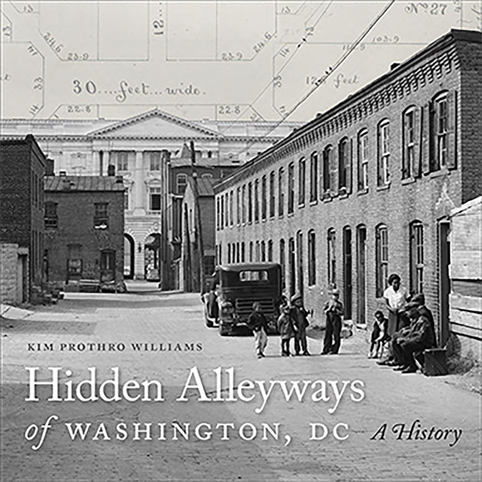 Hidden Alleyways of Washington, DC: A History (Hardcover)