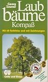 Zauners Laubbäume-Kompaß. Laubbäume in Wäldern, Parks und Gärten richtig bestimmen. (Mit 70 Farbfotos und 50 Zeichnungen) (Livre en allemand) Zauners Laubbäume-Kompaß. Laubbäume in Wäldern, Parks und Gärten richtig bestimmen. (Mit 70 Farbfotos und 50 Zeichnungen) (Livre en allemand)