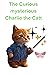 The Curious mysterious Char...