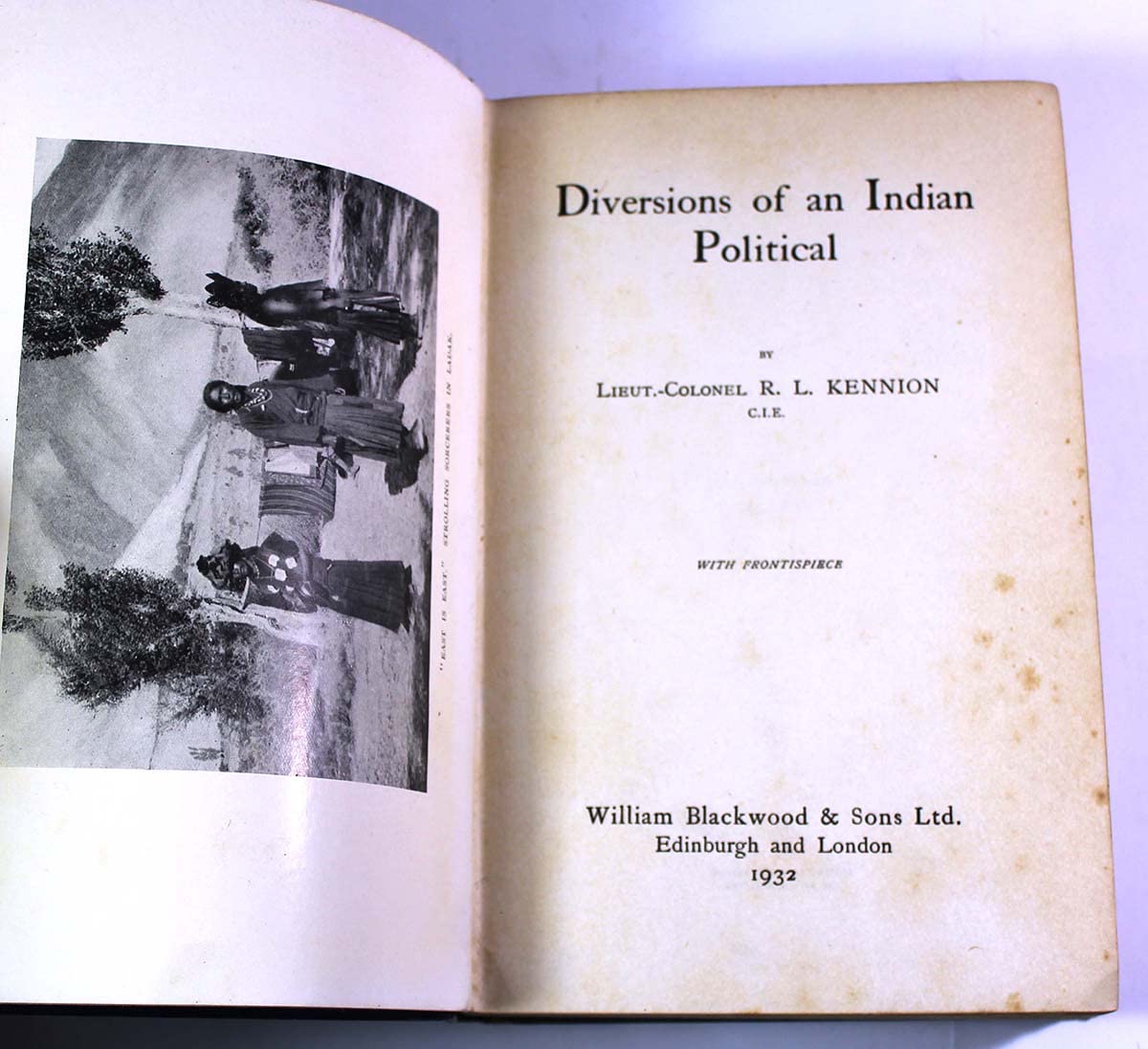 Diversions of an Indian Political (Hardcover)