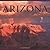 Arizona (America) by Tanya Lloyd Kyi (1999-03-24)