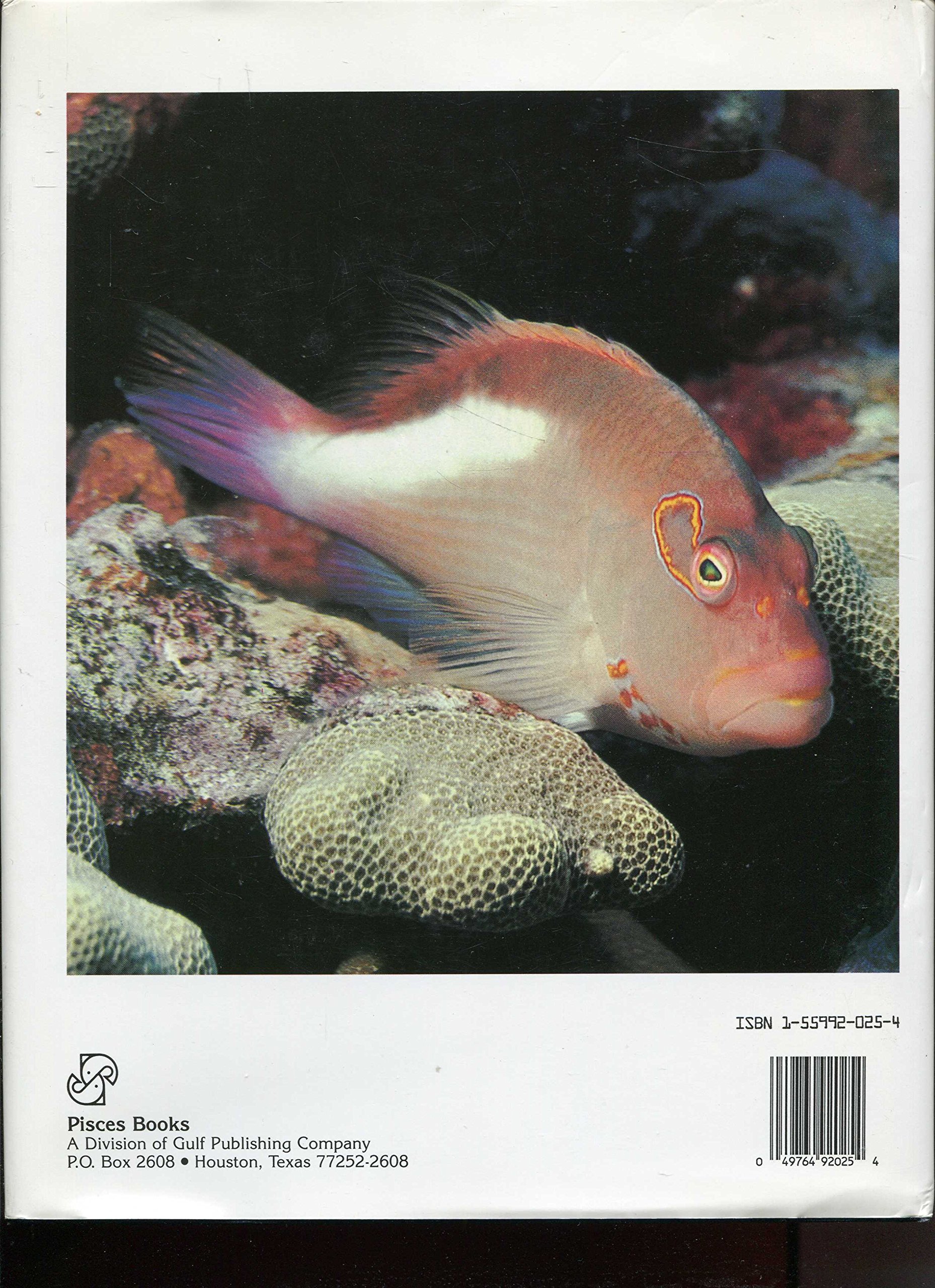 Book of Marine Fishes (Hardcover)