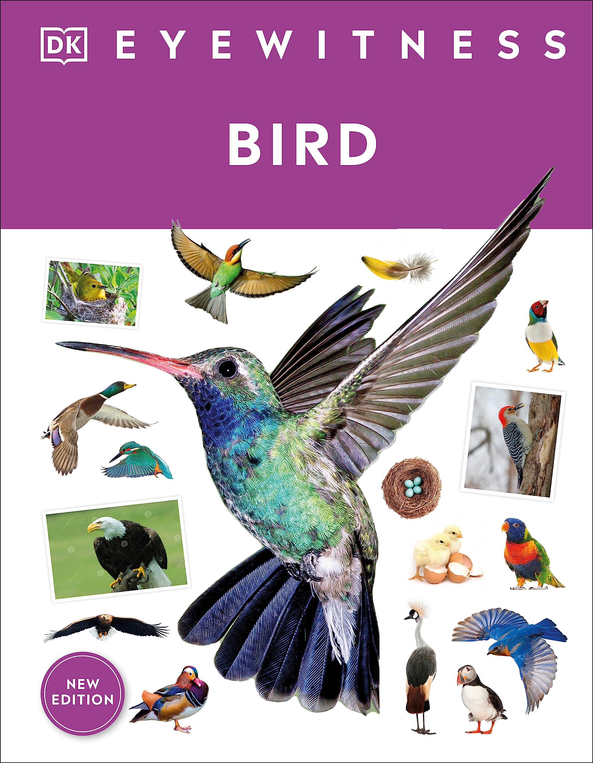 Eyewitness Bird (DK Eyewitness)