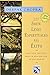Las sietes leyes espirituales del exito : Una guia practica para la realizacion de tus suenos / The Seven Spiritual Laws of Success: A Practical Guide ... realizacion de tus suenos (Spanish Edition) by Deepak Chopra (2003-12-04)