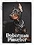 Doberman Pinscher by Nina Pustova