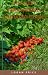 The Best Strawberry Growing...