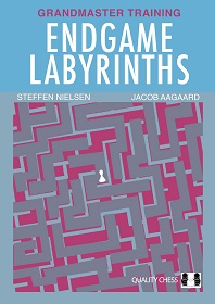 Endgame Labyrinths (Hardcover)