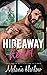 Hideaway Heart (Cherry Tree Harbor #2)