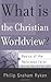 What Is the Christian Worldview? (Basics of the Faith) (Basics of the Reformed Faith) by Philip Graham Ryken (2006-11-13)