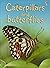 Caterpillars and Butterflies (Beginners)
