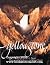 Yellowstone by Erwin A. Bauer (1994-09-06)