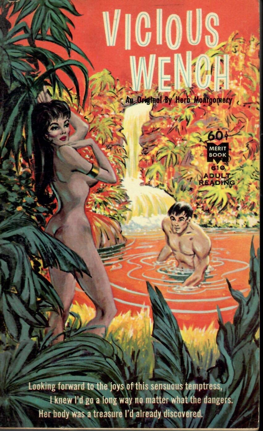 Vicious Wench Merit Book (Paperback)