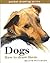 Dogs and How to Draw Them