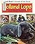 Holland Lops and Other Rabbits (World Book's Animals of the World)