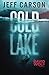 Cold Lake (David Wolf, #5)