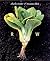 Raw by Charlie Trotter (30-...