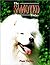 By Pam Taylor The Samoyed Today (1st Frist Edition) [Hardcover]