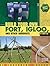 Build Your Own Fort, Igloo, and Other Hangouts (Build It Yourself)