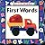 First Words (Leap Frog Lift-a-Flap Book) (Active Minds)