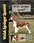 Welsh Springer Spaniel (Pet love) by Wessem, Haja Van (2000) Hardcover