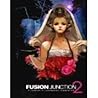 Fusion Junction 2 : A Collection of Contemporary Character Art