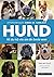 Hund