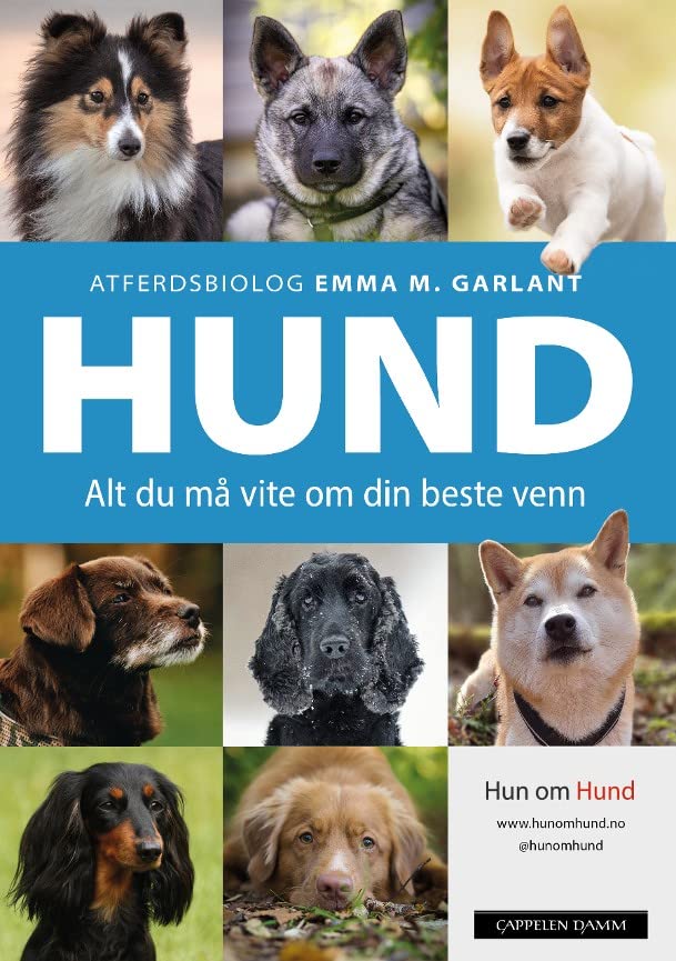 Hund (Hardcover)