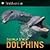 Dolphins