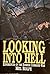 LOOKING INTO HELL: EXPERIENCES OF THE BOMBER COMMAND WAR
