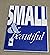 Small & Beautiful: The Issu...