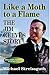 Like a Moth to a Flame - The Jim Reeves Story