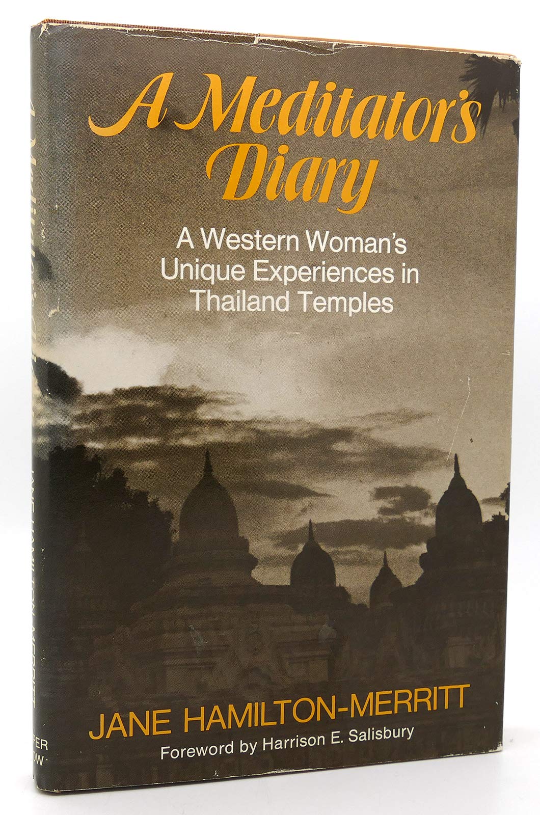 A meditator's diary: A western woman's unique experiences in Thailand temples (Hardcover)