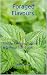Foraged Flavours: Nettle Re...