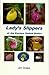 Lady's Slippers of the East...