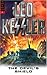Devil's Shield (Volume 2 Dogs of War Series) by Leo Kessler (1-Oct-2004) Paperback