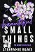 Beautiful Small Things (The Men of Sierra Falls)