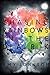 Chasing Rainbows in the Dark by Amy Johnson (2015-11-27)