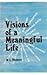 Visions of A Meaningful Life