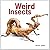 Weird Insects by Worek, Michael (2013) Paperback