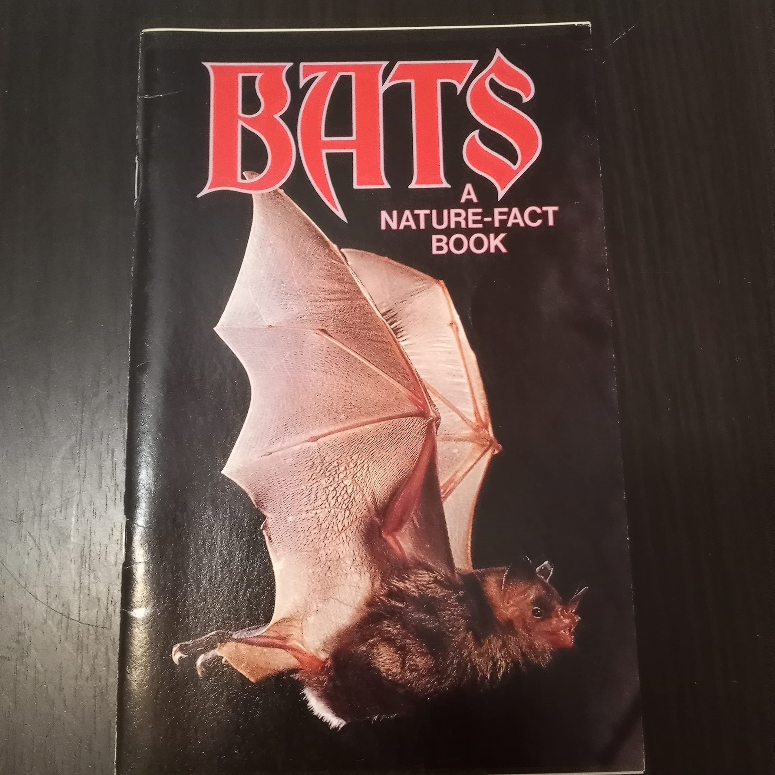 Bats: A Nature-Fact Book (Paperback)