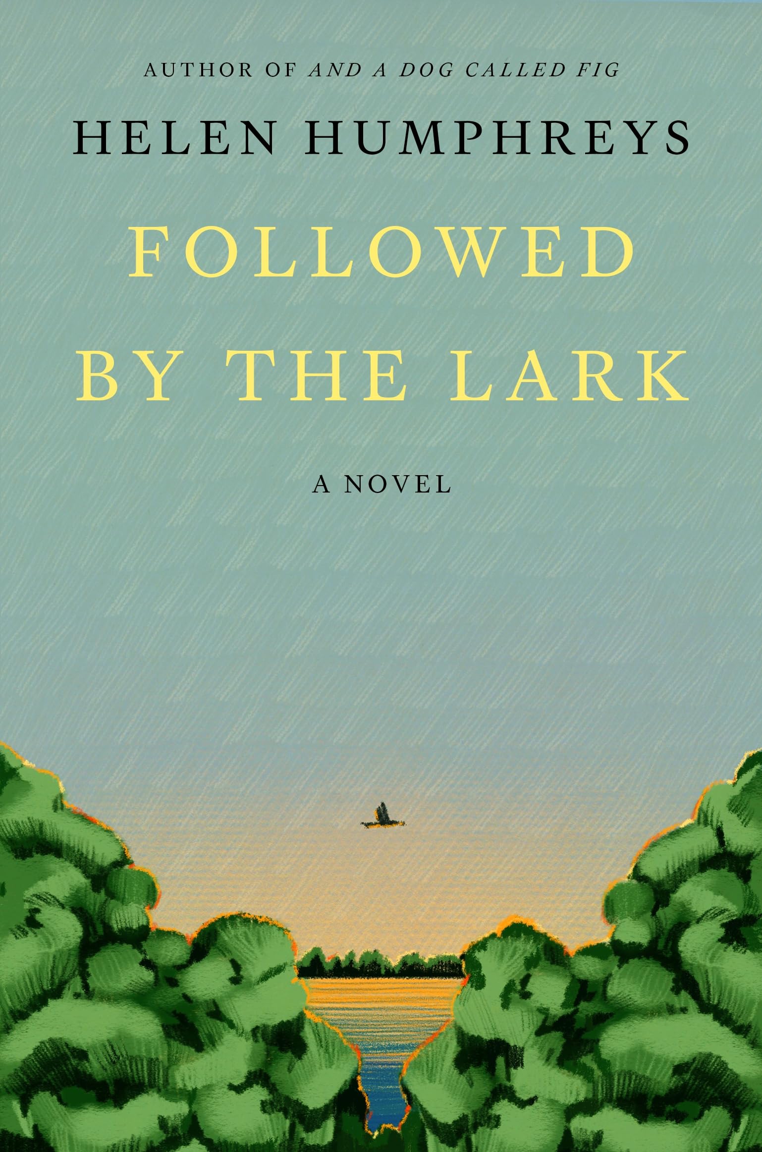 Followed by the Lark (Hardcover)