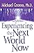 Experiencing the Next World Now by Michael Grosso (1-Jan-2004) Paperback