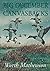 Big December Canvasbacks, Revised by Worth Mathewson (2000-02-29)