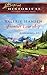 Frontier Courtship (Steeple Hill Love Inspired Historical #4) by Valerie Hansen (2008-03-11)