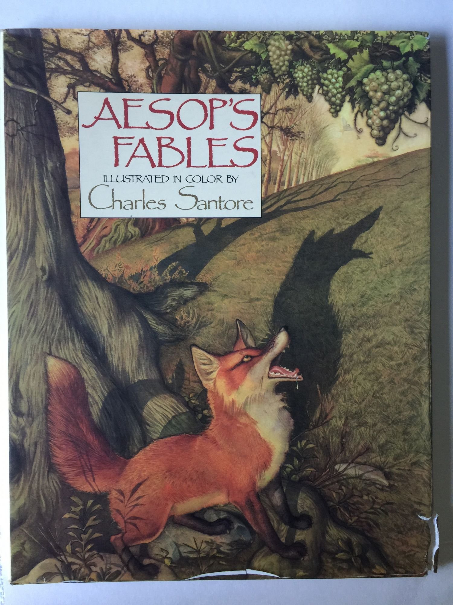 Aesopââ‚¬â„¢s Fables (Hardcover)