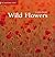Wild Flowers (National Trust Gardens by Design) by Graham Murphy by Graham Murphy